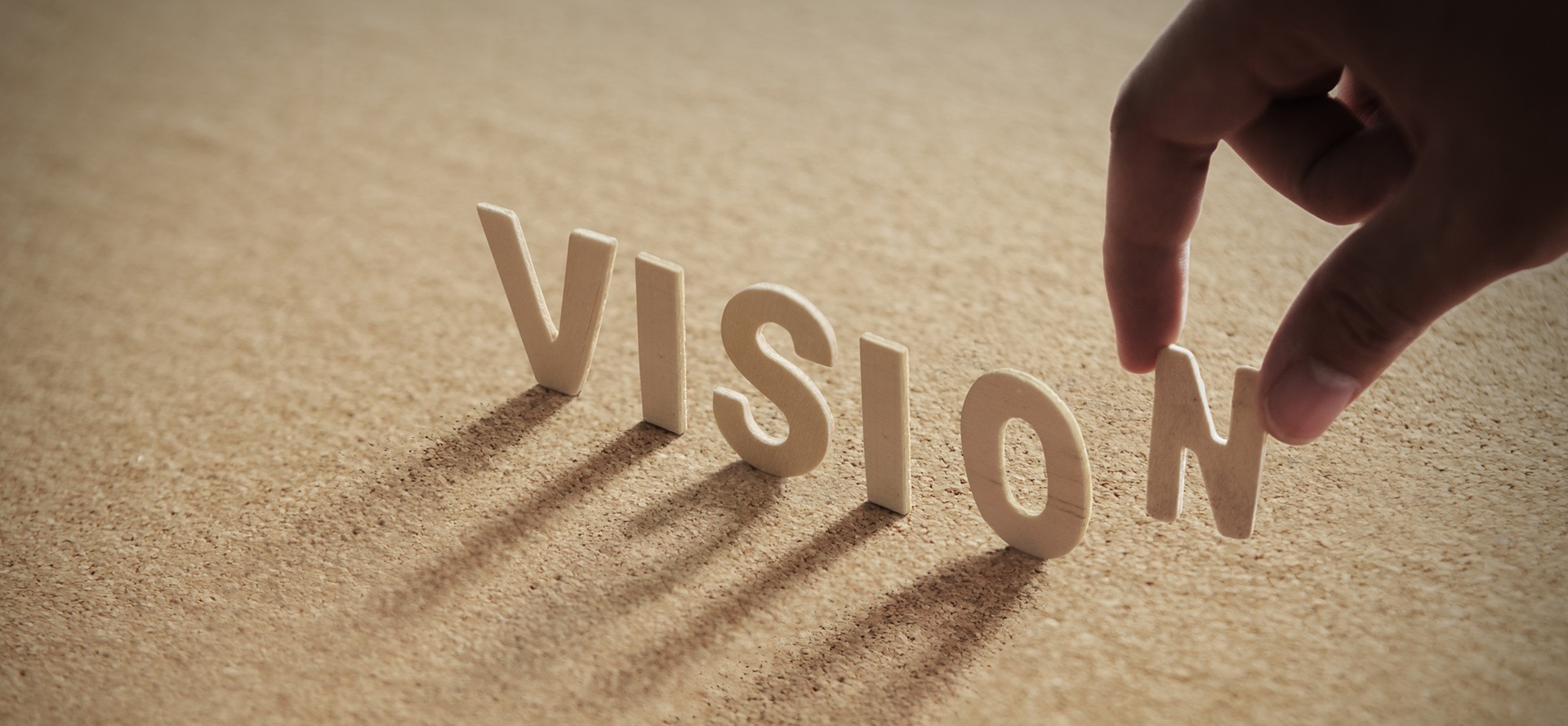 vision1